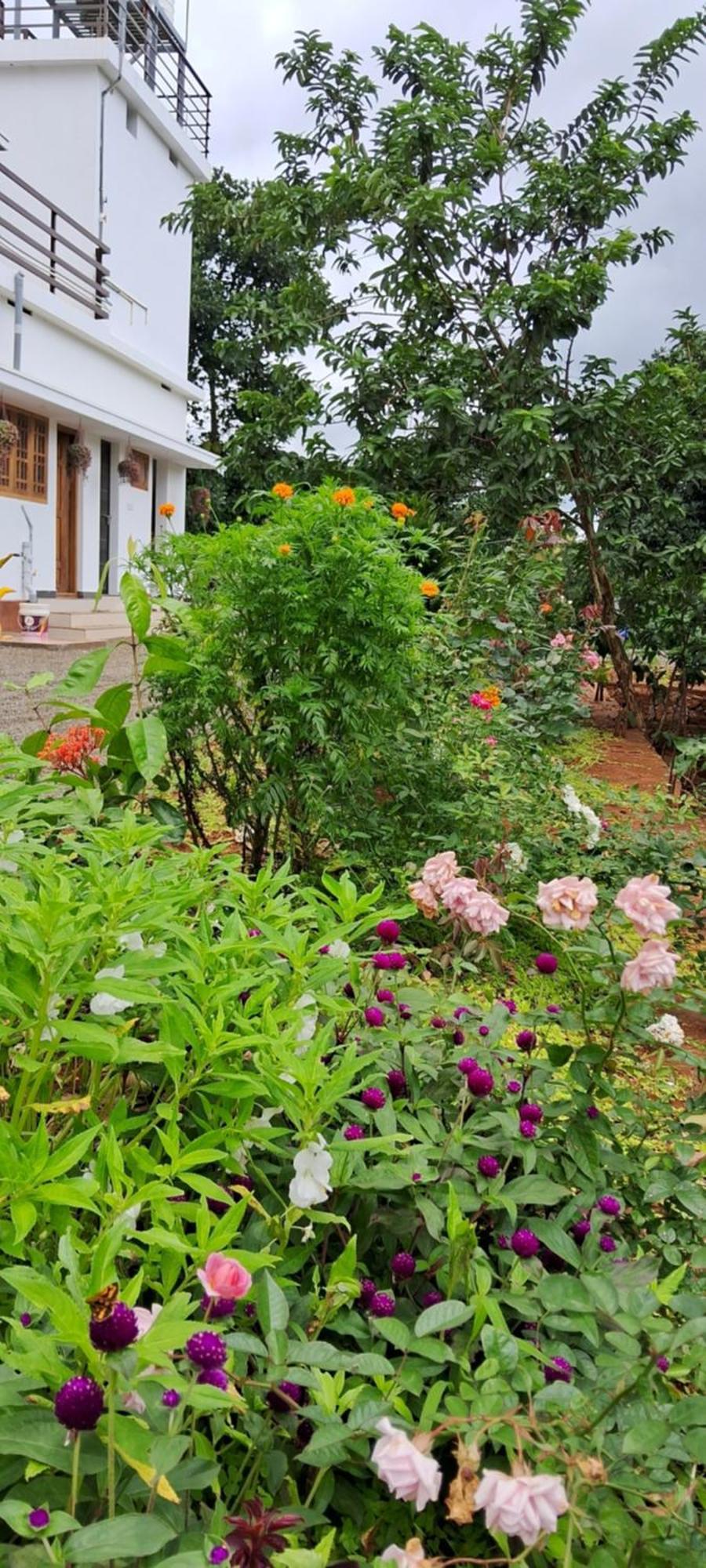 Rockland Holidays Ramakkalmedu Dış mekan fotoğraf
