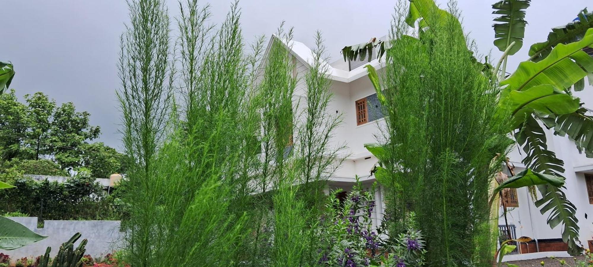 Rockland Holidays Ramakkalmedu Dış mekan fotoğraf